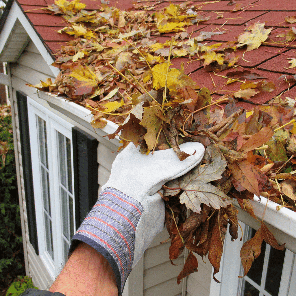 Image showcasing 4 Essential Spring Gutter Cleaning Tips for COS - Candela Properties